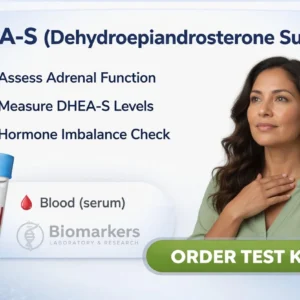 dhea-s-test