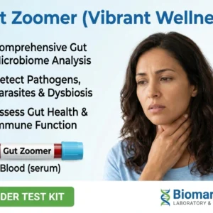 gut-zoomer-vibrant-wellness