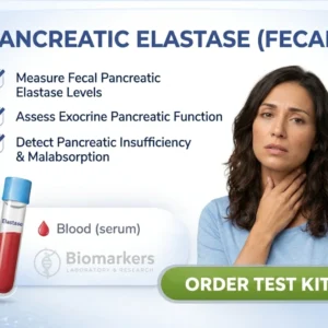 pancreatic-elastase-fecal-test